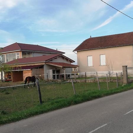 Maison De 100M2 Au Coeur D'Une Pension Equestre Les Sabots De Nina Marcollin Eksteriør bilde